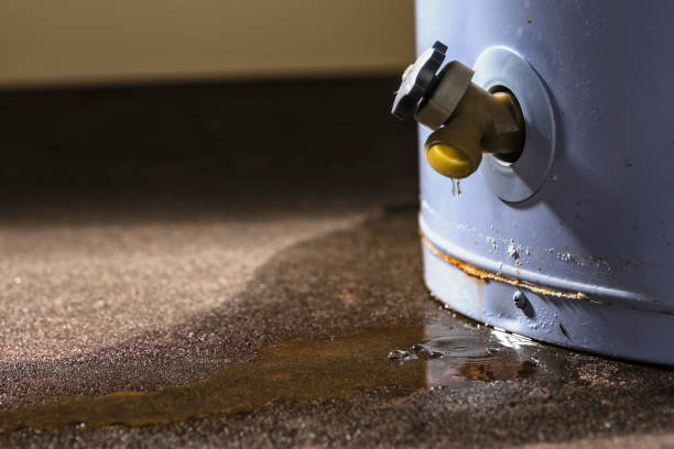 Water damage restoration experts in Bawcomville, LA