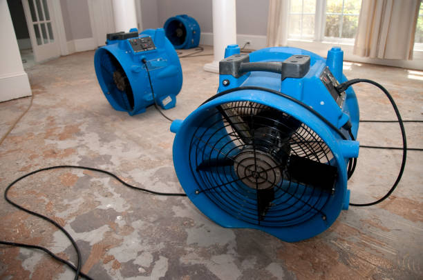 Best Carpet water damage restoration  in Bawcomville, LA